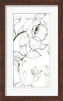 Framed Sketch of Roses Panel II