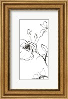 Framed Sketch of Roses Panel I