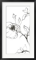 Framed Sketch of Roses Panel I