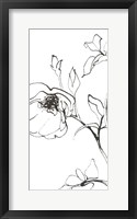 Framed Sketch of Roses Panel I