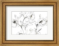 Framed Sketch of Roses