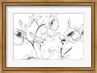 Framed Sketch of Roses