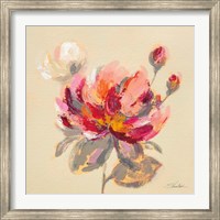 Framed Blooming Peony I