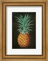 Framed Vintage Pineapple II