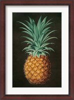 Framed Vintage Pineapple II