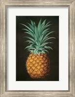 Framed Vintage Pineapple II