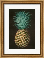 Framed Vintage Pineapple I