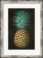 Framed Vintage Pineapple I