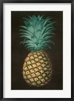 Framed Vintage Pineapple I