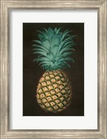 Framed Vintage Pineapple I