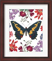 Framed Butterfly Garden III