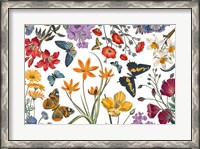 Framed Butterfly Garden VI