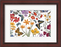 Framed Butterfly Garden VI