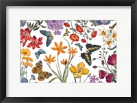 Framed Butterfly Garden VI