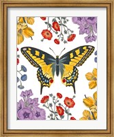 Framed Butterfly Garden IV