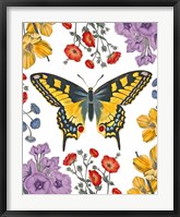 Framed Butterfly Garden IV