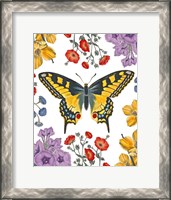 Framed Butterfly Garden IV
