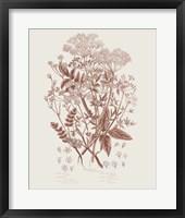 Flowering Plants I Brown Framed Print