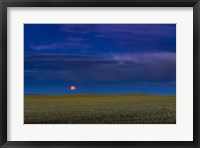 Framed Harvest Moon Rising, Alberta, Canada