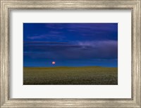 Framed Harvest Moon Rising, Alberta, Canada