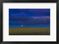 Framed Harvest Moon Rising, Alberta, Canada