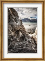 Framed Kluane National Park, Yukon, Canada