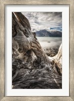 Framed Kluane National Park, Yukon, Canada