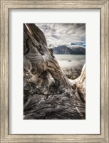 Framed Kluane National Park, Yukon, Canada