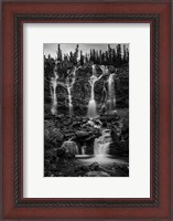 Framed Tangle Falls, Jasper National Park, Alberta, Canada