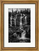 Framed Tangle Falls, Jasper National Park, Alberta, Canada