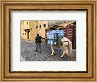 Framed Mule Carrying Water, Through the Medina in Fes, Morocco, Africa