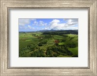 Framed Wailua River State Park, Kauai, Hawaii