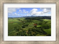 Framed Wailua River State Park, Kauai, Hawaii