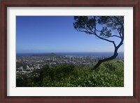 Framed View from Tantalus Lookout Overlooking Honolulu, Oahu, Hawaii