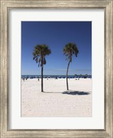 Framed Palm Trees, Clearwater Beach, Florida