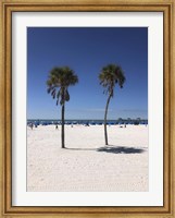 Framed Palm Trees, Clearwater Beach, Florida
