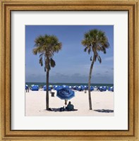 Framed Umbrella, Chairs and Palm Trees