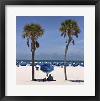 Framed Umbrella, Chairs and Palm Trees