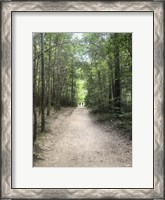 Framed Catawba Falls Trailhead, Asheville, North Carolina