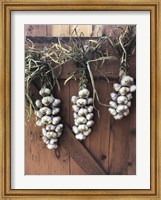 Framed Garlic Braids Hanging on a Barn Door