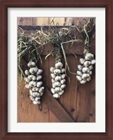 Framed Garlic Braids Hanging on a Barn Door