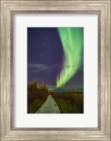 Framed Auroral Arc Over the Boardwalk at Rotary Park in Yellowknife