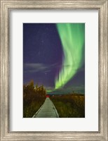 Framed Auroral Arc Over the Boardwalk at Rotary Park in Yellowknife