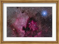 Framed North America Nebula Near Teh Bright Blue-White Star Deneb