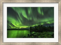 Framed Bright Sky-Filling Aurora at Tibbitt Lake East of Yellowknife