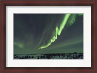 Framed Auroral Curtain Over Churchill, Manitoba