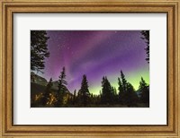 Framed Unusual STEVE Auroral Arc Across the Northern Sky at Bow LakeAlberta