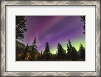 Framed Unusual STEVE Auroral Arc Across the Northern Sky at Bow LakeAlberta