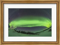 Framed Arc of the Auroral Oval Across the Northern Sky, in Churchill, Manitoba