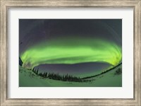 Framed Arc of the Auroral Oval Across the Northern Sky, in Churchill, Manitoba